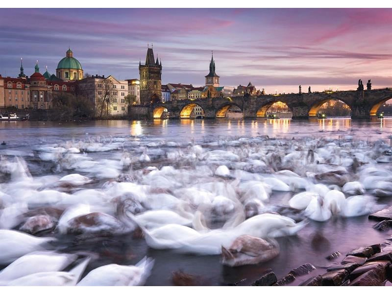 Schmidt Puzzle 1000pc - Prague Swans